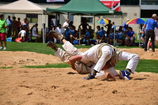 综合格斗赛场焦点！巴西队对阵意大利队，球星闪耀，全场焦点无人能挡